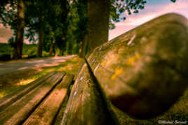 Un banc un peu pensif