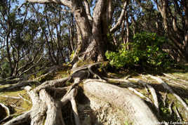 Quand le sol ne suffit plus