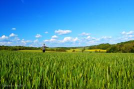 La campagne et moi !