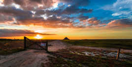 Attention aux Moutons