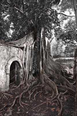 Ancienne prison à Petit Canal
