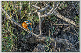 Conversation avec Madame Martin Pêcheur