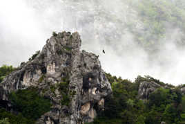 Dans son élément...
