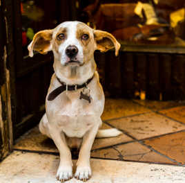 Attention au décollage