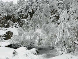 Le lac bleu en hiver VERSION 1