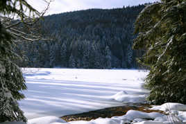 Promenade de fin d'apres midi
