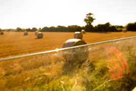 Journey by train in countryside