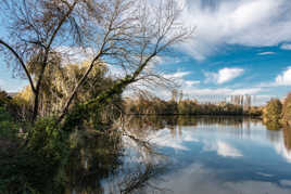 entre manque de piqué et horizon droit ??