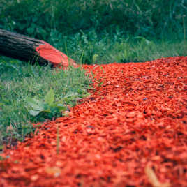 Flâneries en couleurs