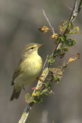 Que la nature est belle !