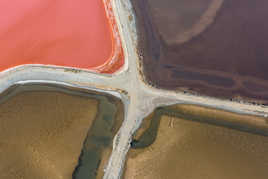 Marais salants d'Aigues-Mortes