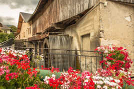 Moulin et fleurs