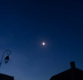 Dernier quartier de lune et petite ours