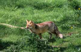 avec de la patience...