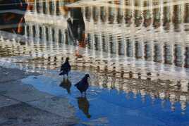 Pigeons Place St Marc