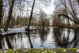 patinoire en formation