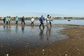 Marche à marée basse