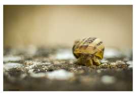 L'année prochaine, je pars sans la caravane !