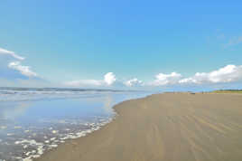 Un dimanche sur la Plage