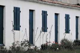 volets bleus et cocquelicots