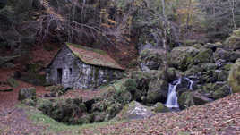 Moulin de Chambeuil (15)