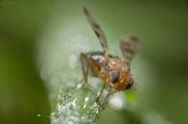 Les pattes au frais!