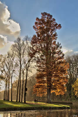 Promenade dans le parc...