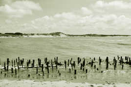 Berck plage