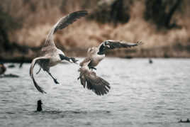 C'est à cette heure-ci que tu rentres...