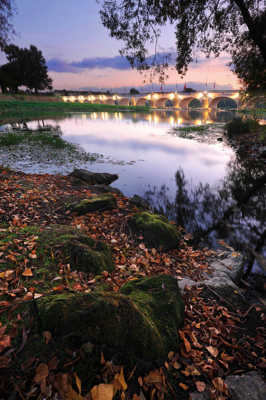 Bord de Loire