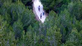 Quand la nature nous regarde