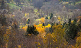 Eclat et couleurs de la nature