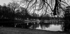 Bois de le Cambre (Lac)