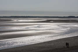 MAREE MONTANTE EN BAIE DE SOMME