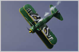 Un biplan à l'entraînement spéciale "Tigre"