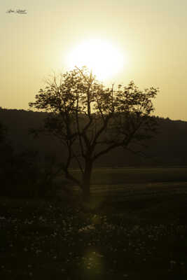 coucher soleil avec fumée