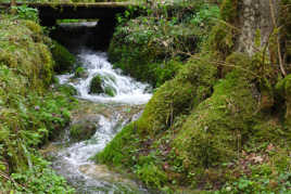 Ruisseau à Consolation