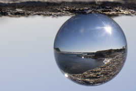 Le virus qui fait perdre la boule