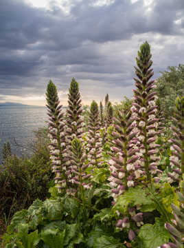 Un air de liberté (1)