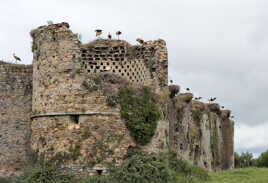 Le château des cigognes (3)