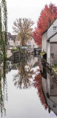 Arbres dégarnis et feuillage d'automne au bord de l'Eure