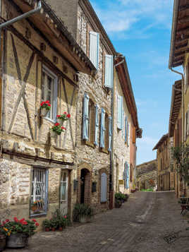 Castelnau de Montmirail 4