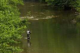 Au milieu coule une rivière