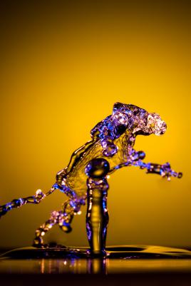 Deux gouttes = un chien