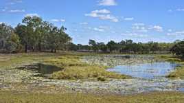 Lakefield version pano