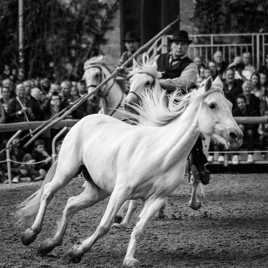 Journée du patrimoine