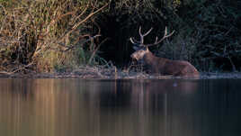 Le repos du guerrier