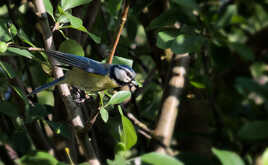 Ejection-Déjection (2)