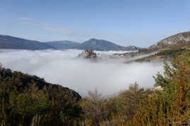 Apparition matinale.