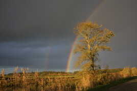 Arc en ciel